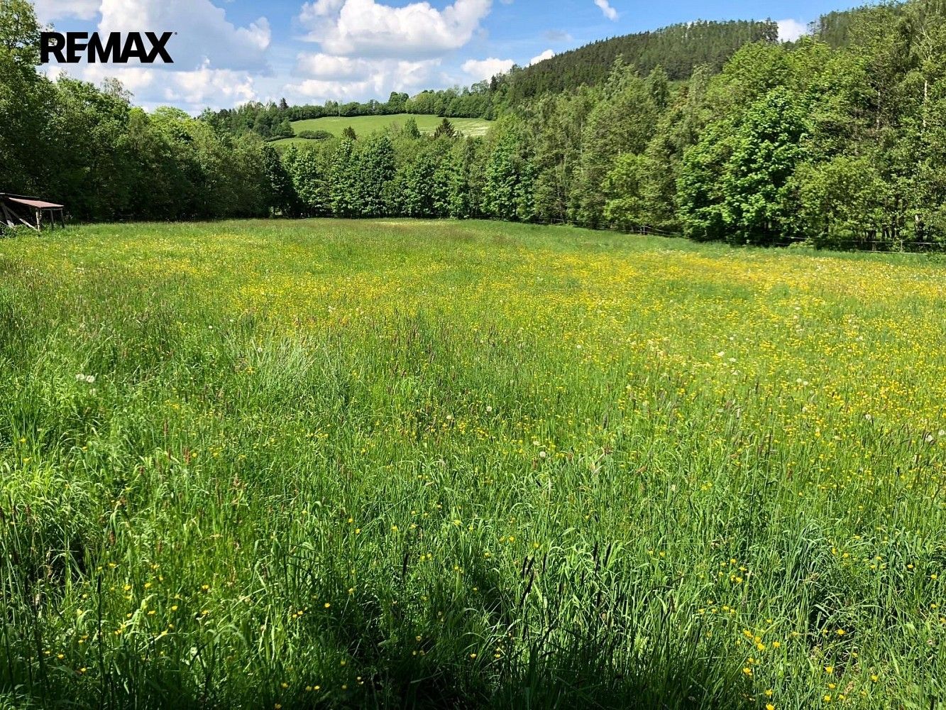 Louka · Strašín, okres Klatovy, Plzeňský kraj - 4
