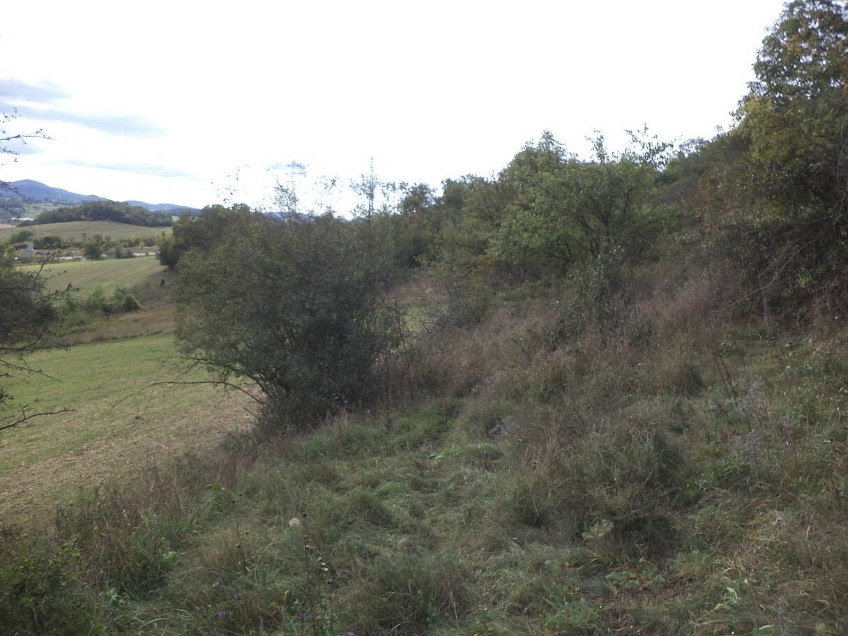 Louka · Řehlovice - 3