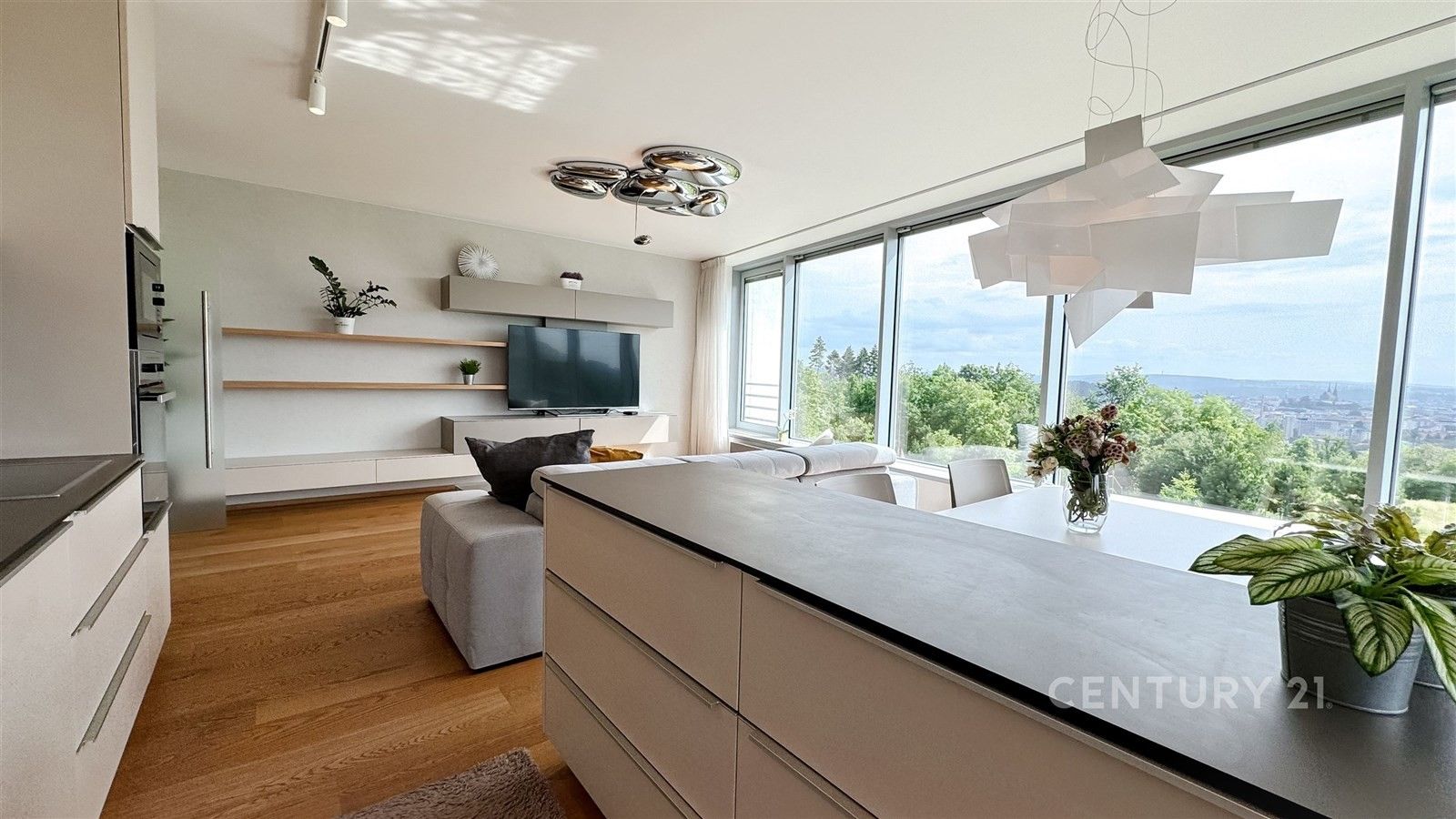 4+kk, Netroufalky 814, Brno Bohunice, 135 m² - 1