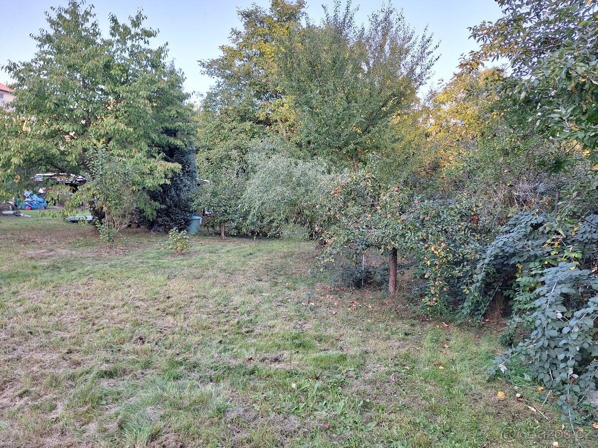 Pronájem zahrada - Chrudim, 537 01