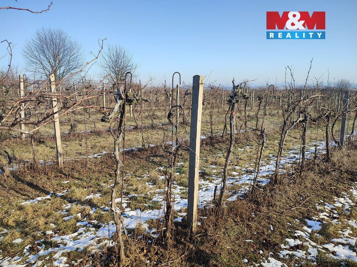 Prodej pozemek pro bydlení - Klobouky u Brna, 691 72