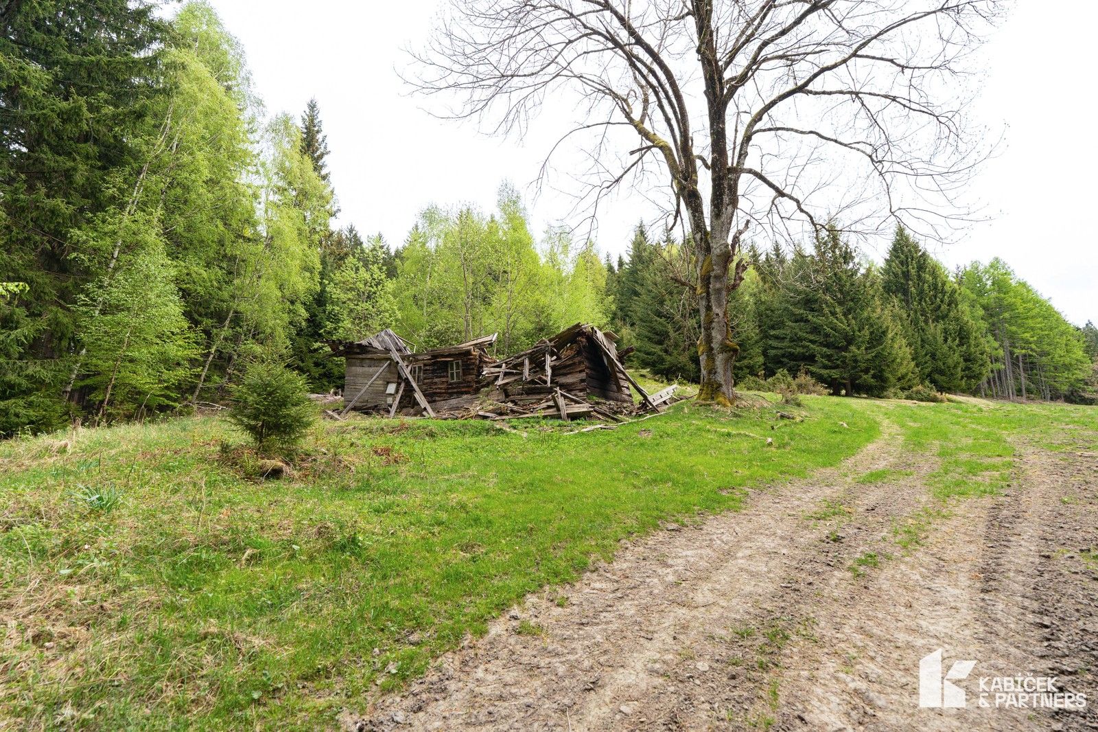 Pozemek pro bydlení · 943 m² · Velké Karlovice - 3