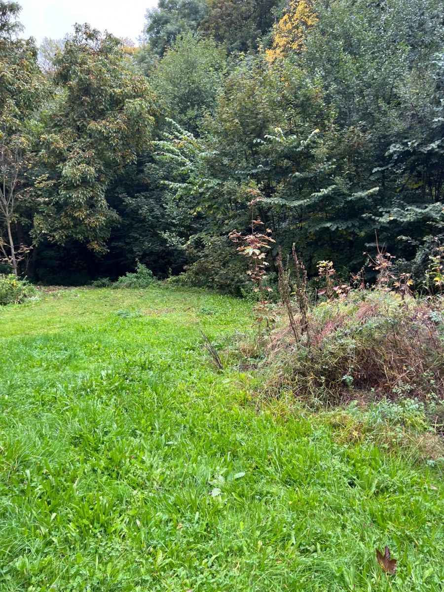Prodej rodinný dům - Velké Svatoňovice, 200 m² - 5