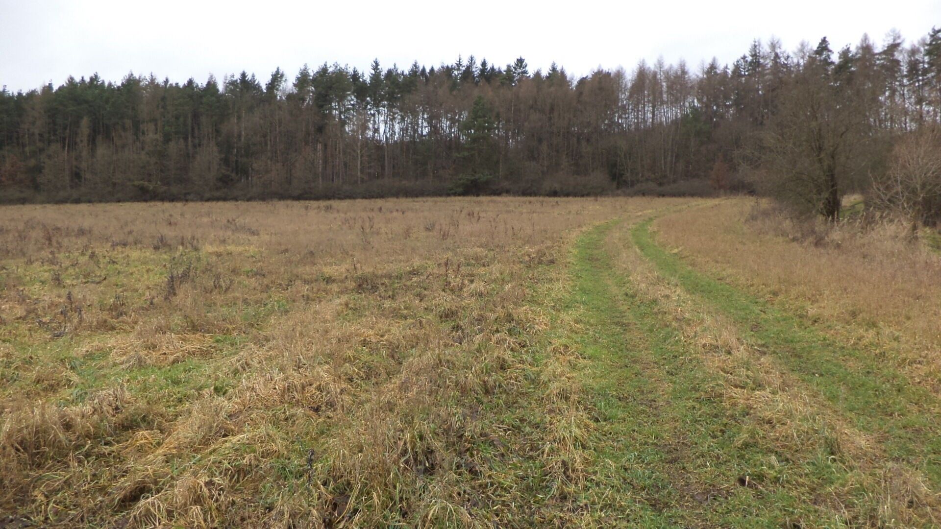 Zemědělský pozemek, 7 890 m²