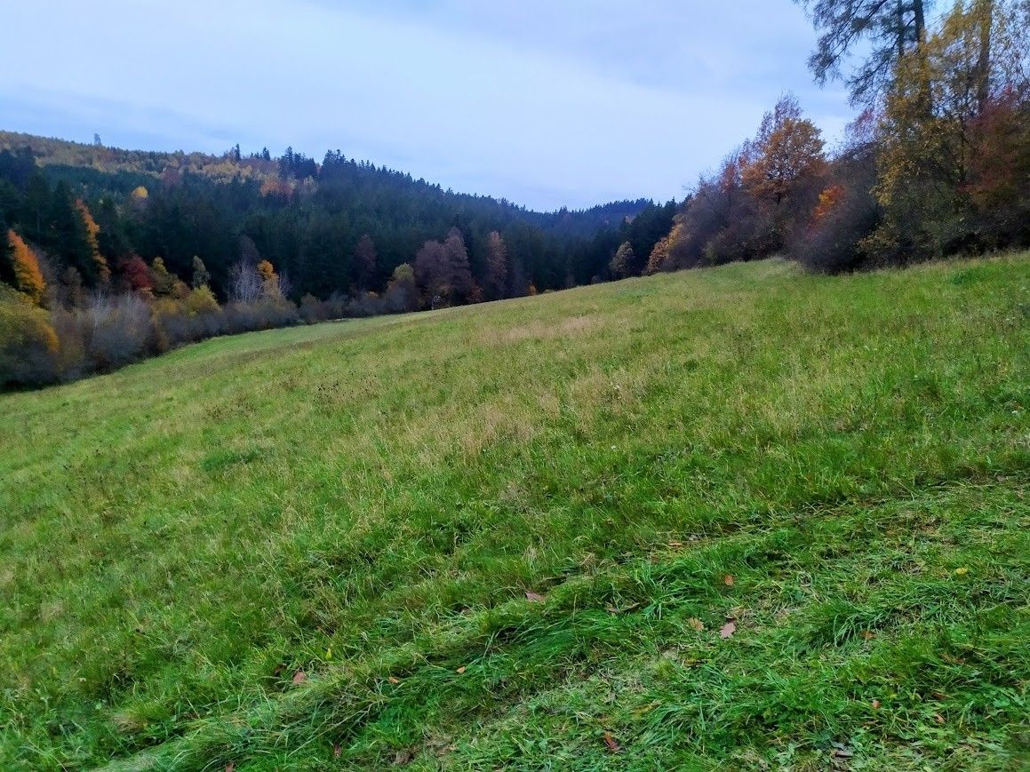 Pozemek pro bydlení · Valašská Polanka, 756 11 - 3
