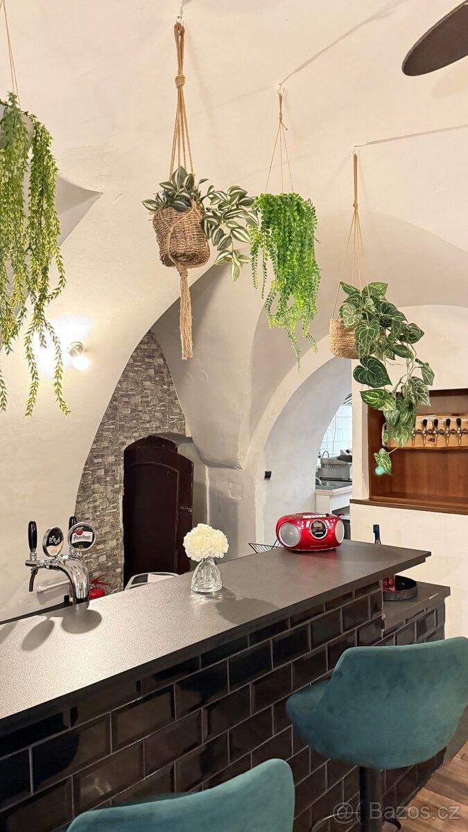 Pronájem restaurace - Hradec Králové, 503 11