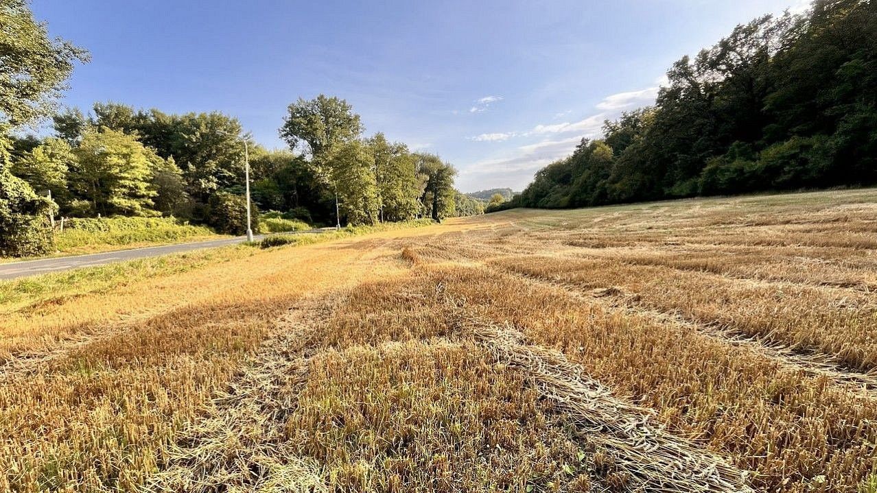 Pozemek pro bydlení · Kralupy nad Vltavou - Minice, okres Mělník, Středočeský kraj - 4