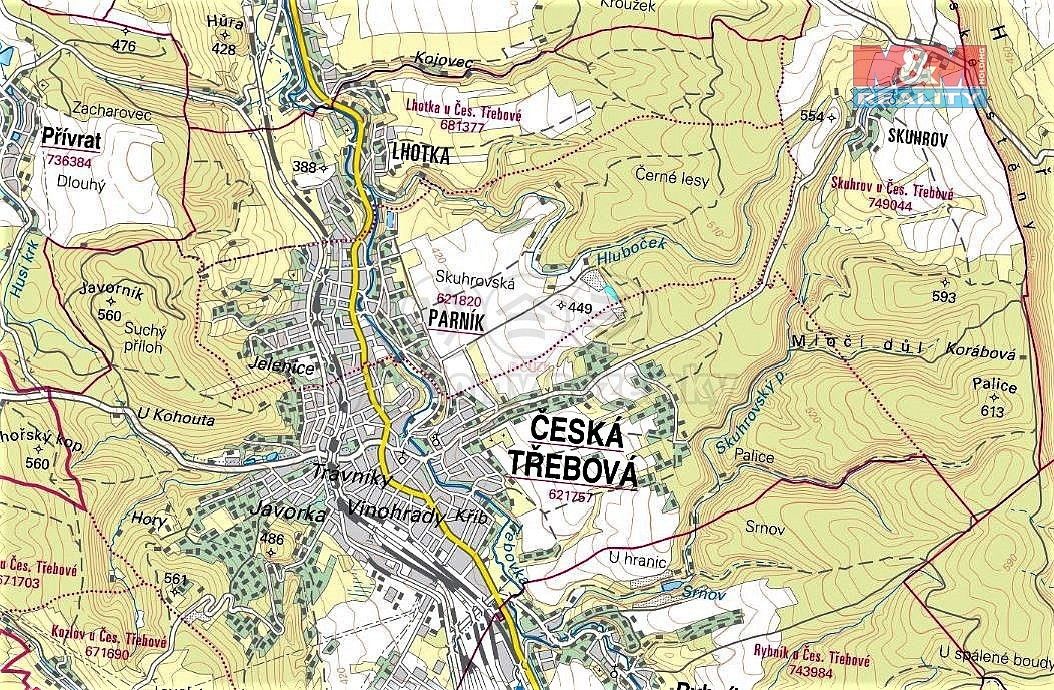 Louka · Česká Třebová - Parník, okres Ústí nad Orlicí, Pardubický kraj - 3