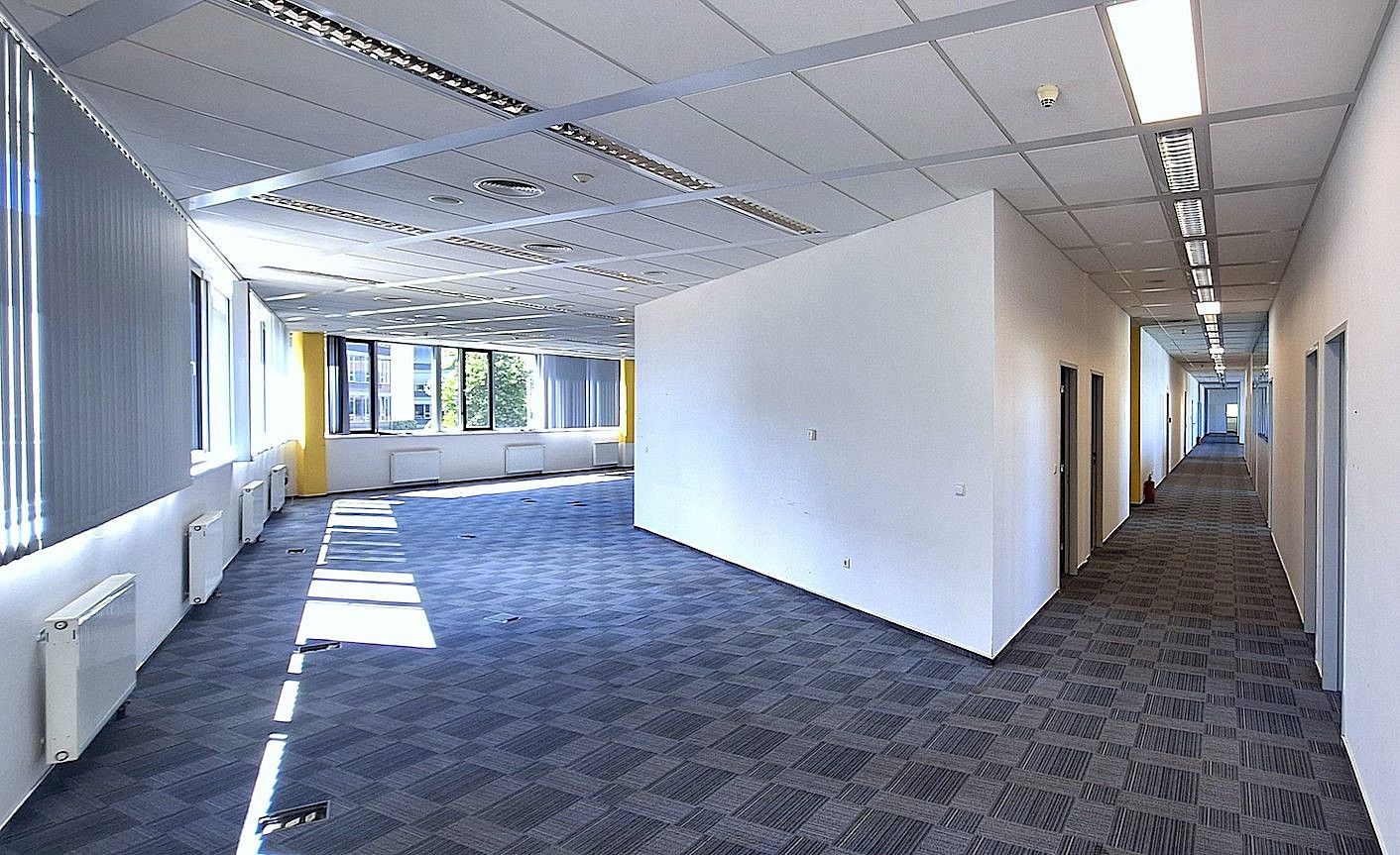 Kanceláře, Ořech, 572 m² - 1