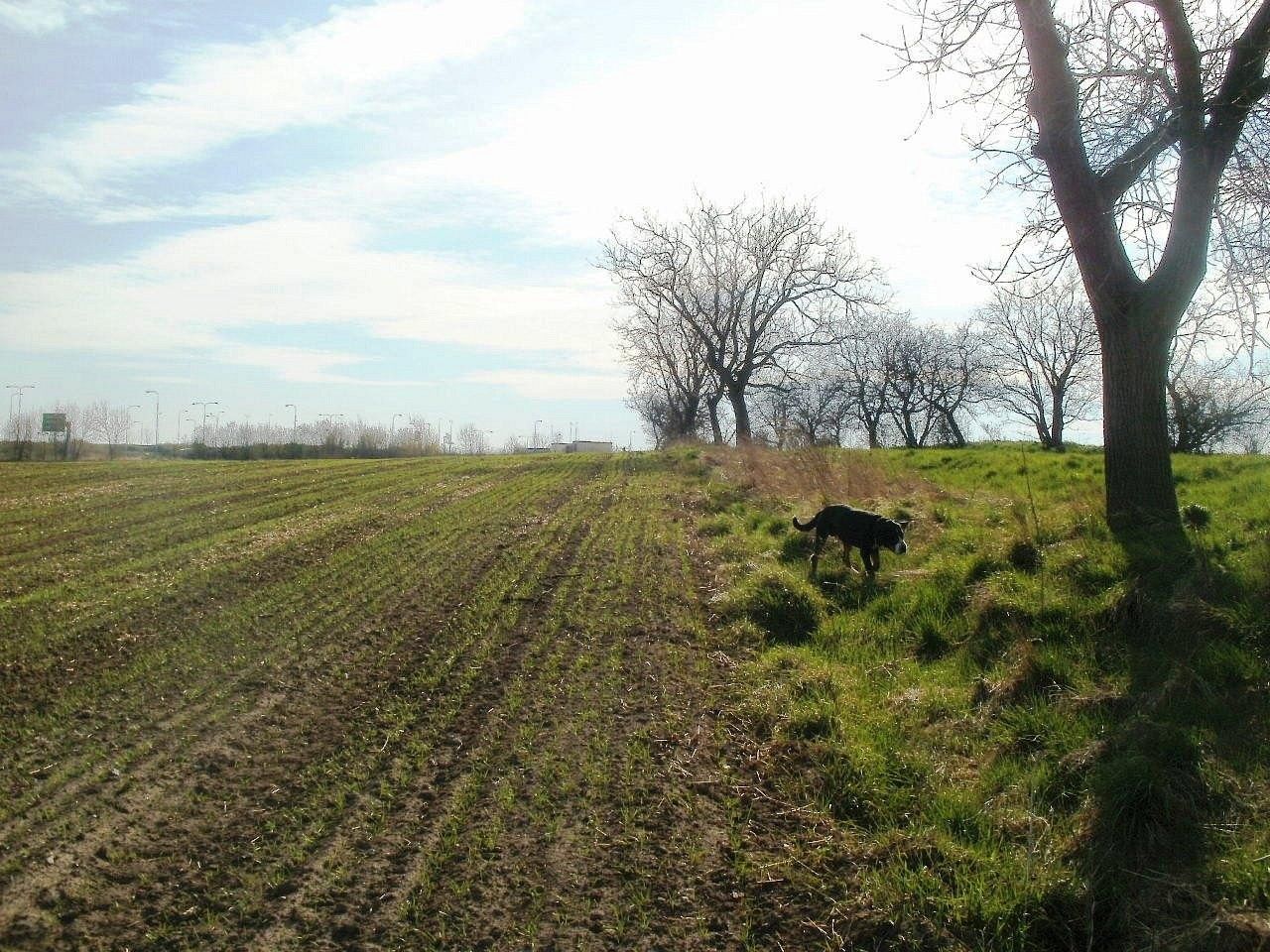 Komerční pozemky, Na Statkách, Olomouc - Slavonín - 1