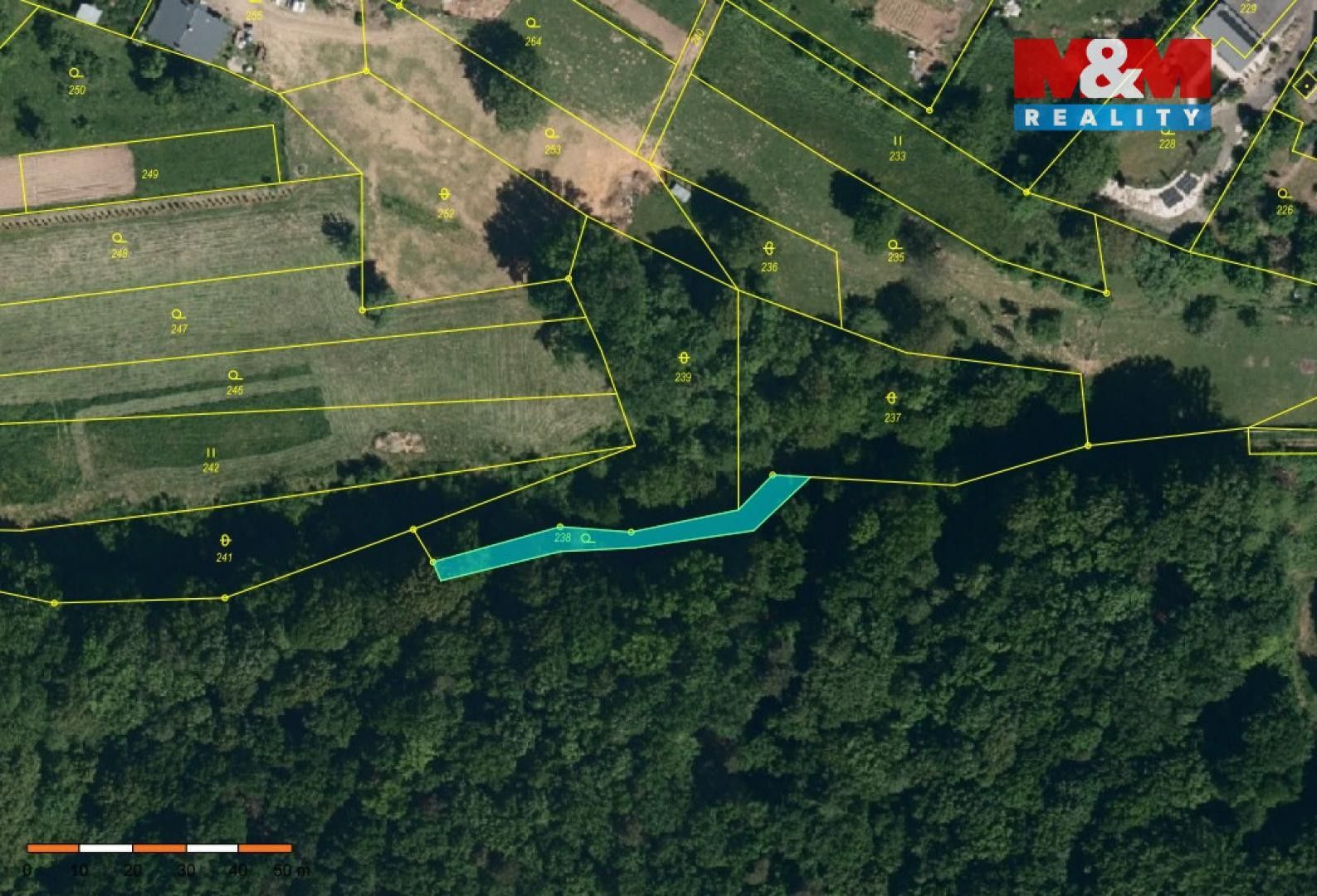 Prodej les - Dolní Ves, Fryšták