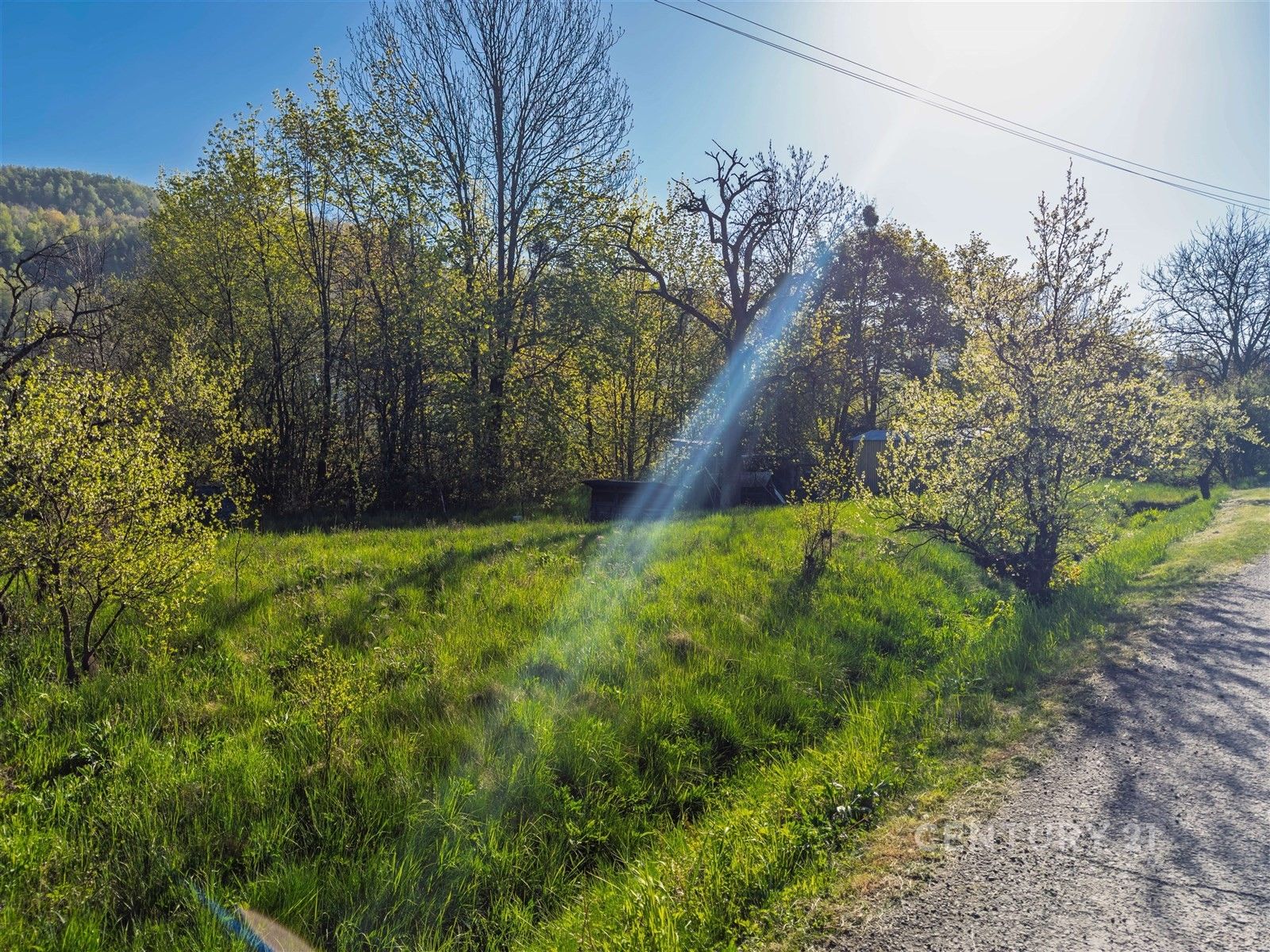 Zahrady, Jakubčovice nad Odrou - 1