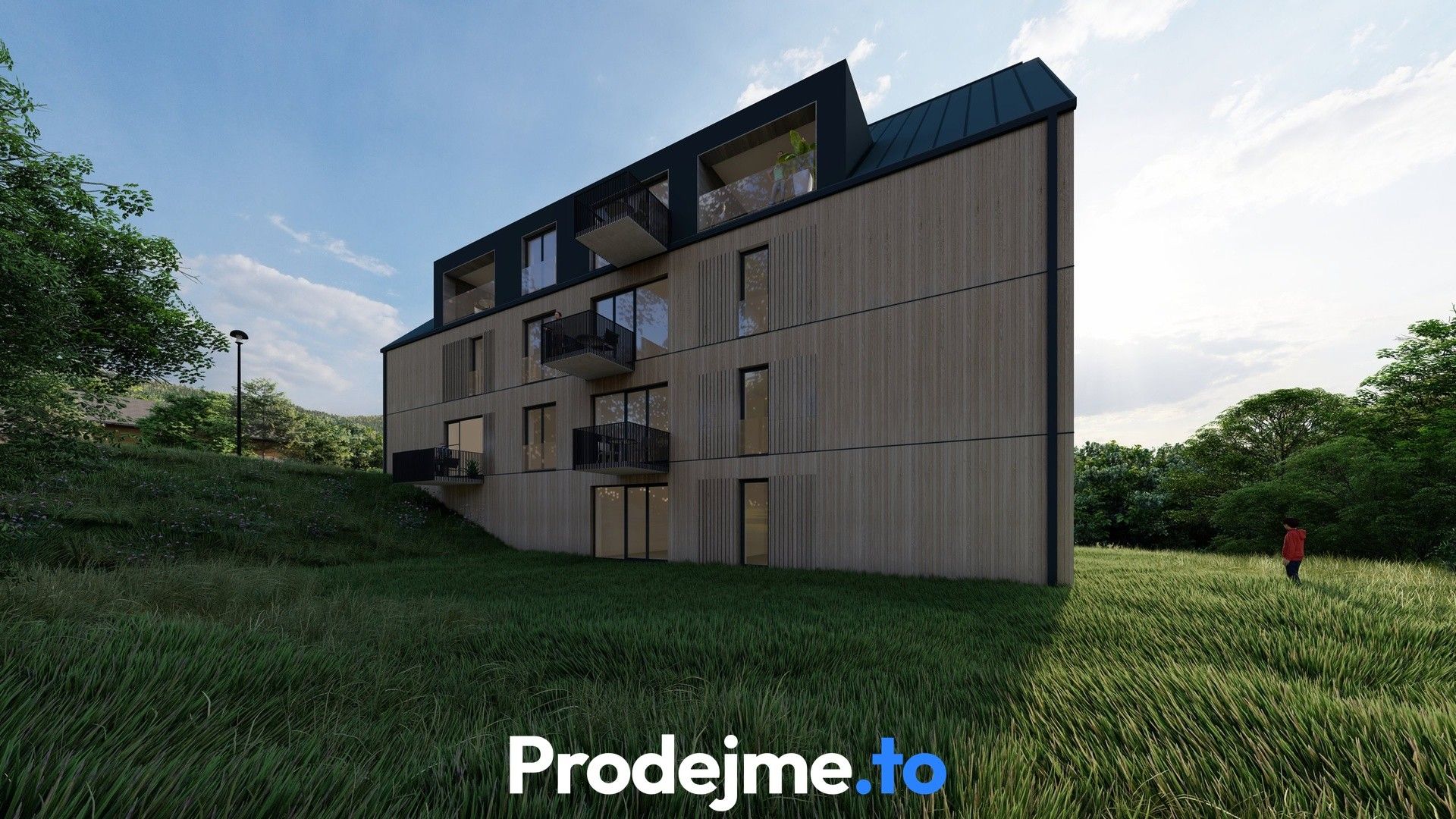 Prodej pozemek pro bydlení - Červená Voda Mlýnický Dvůr - 5