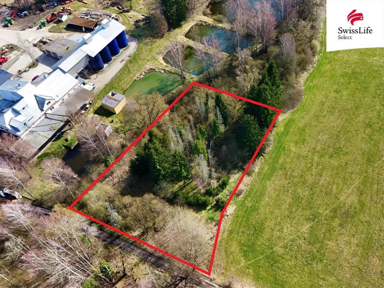 Les · 4 442 m² · Rodvínov - 3