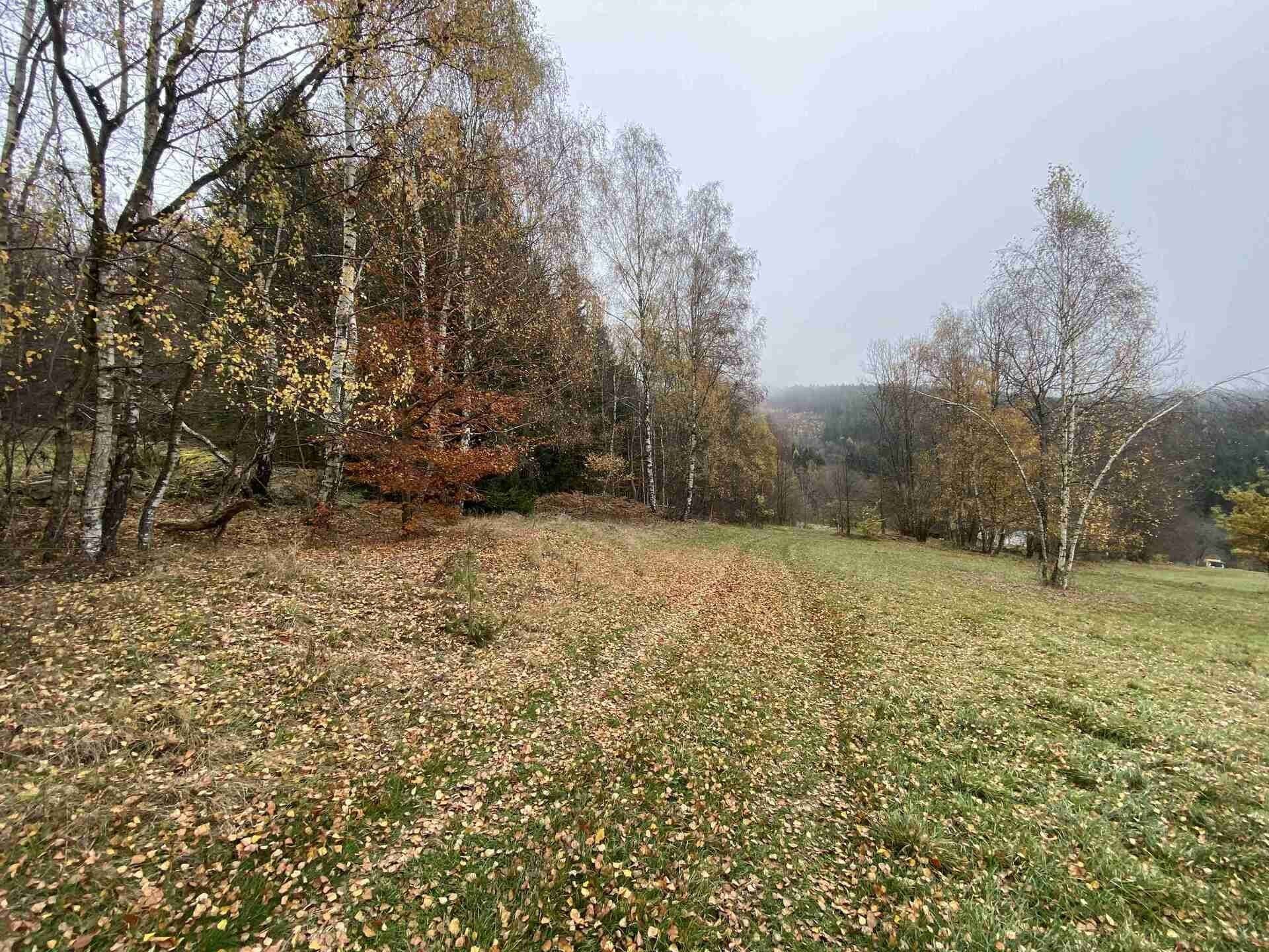 Zemědělské pozemky, Chvalšiny, 1 m²