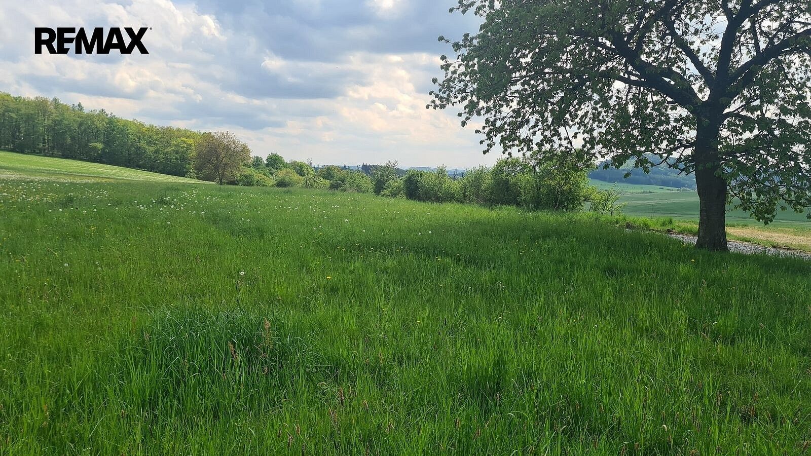 Louky, Čížkov, okres Plzeň-Jih - 2