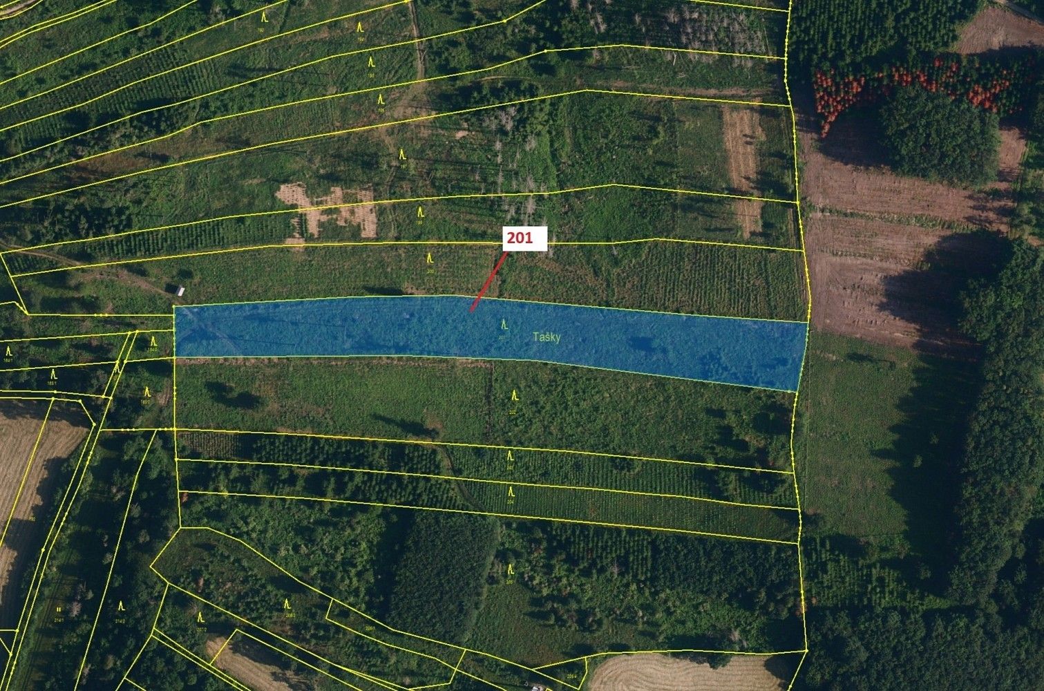 Prodej les - Babice, okres Třebíč, Kraj Vysočina - 2