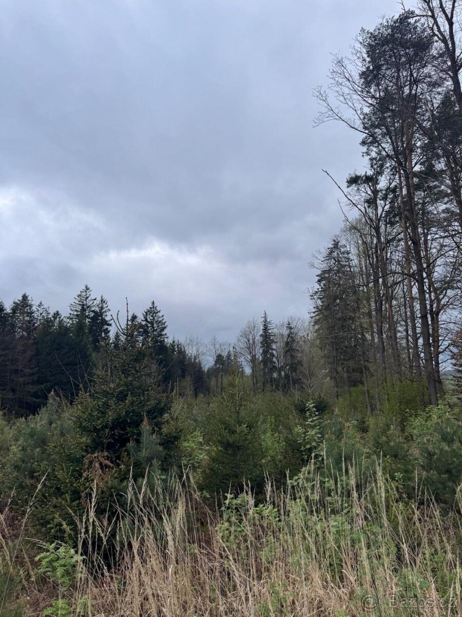 Pozemky pro bydlení, Nové Mitrovice, 335 63