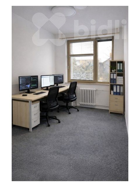Kanceláře, Floriána Nováka 5267, Prostějov, 18 m² - 2