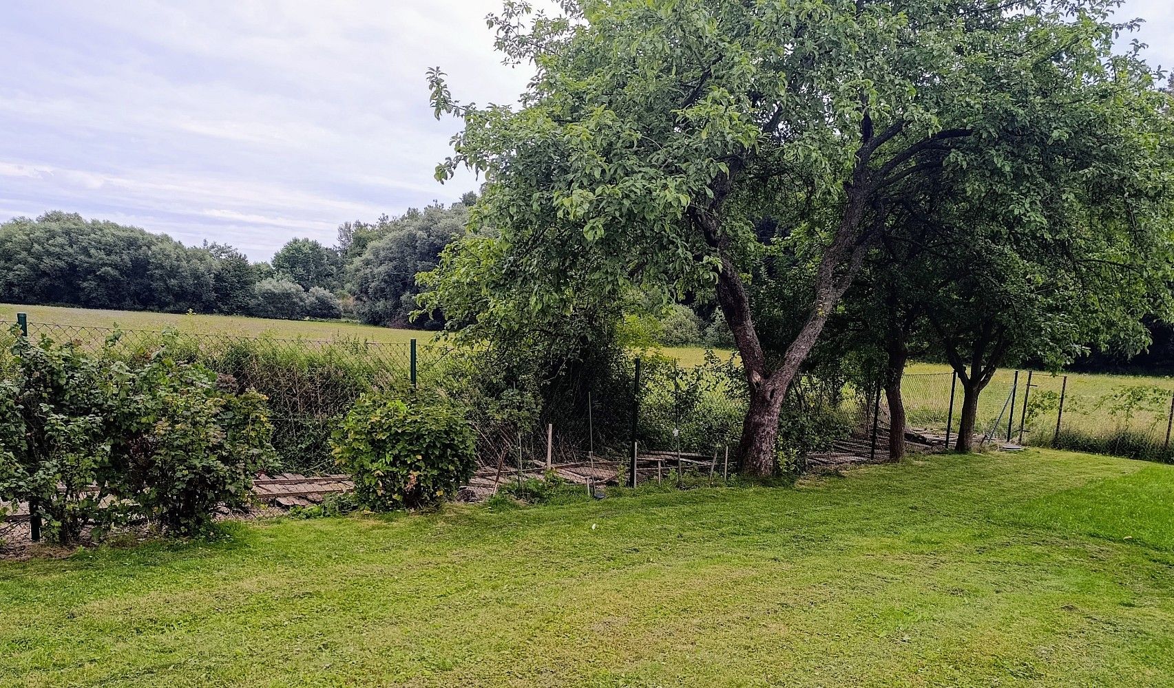 Prodej rodinný dům - Pucov, okres Třebíč, 61 m² - 5