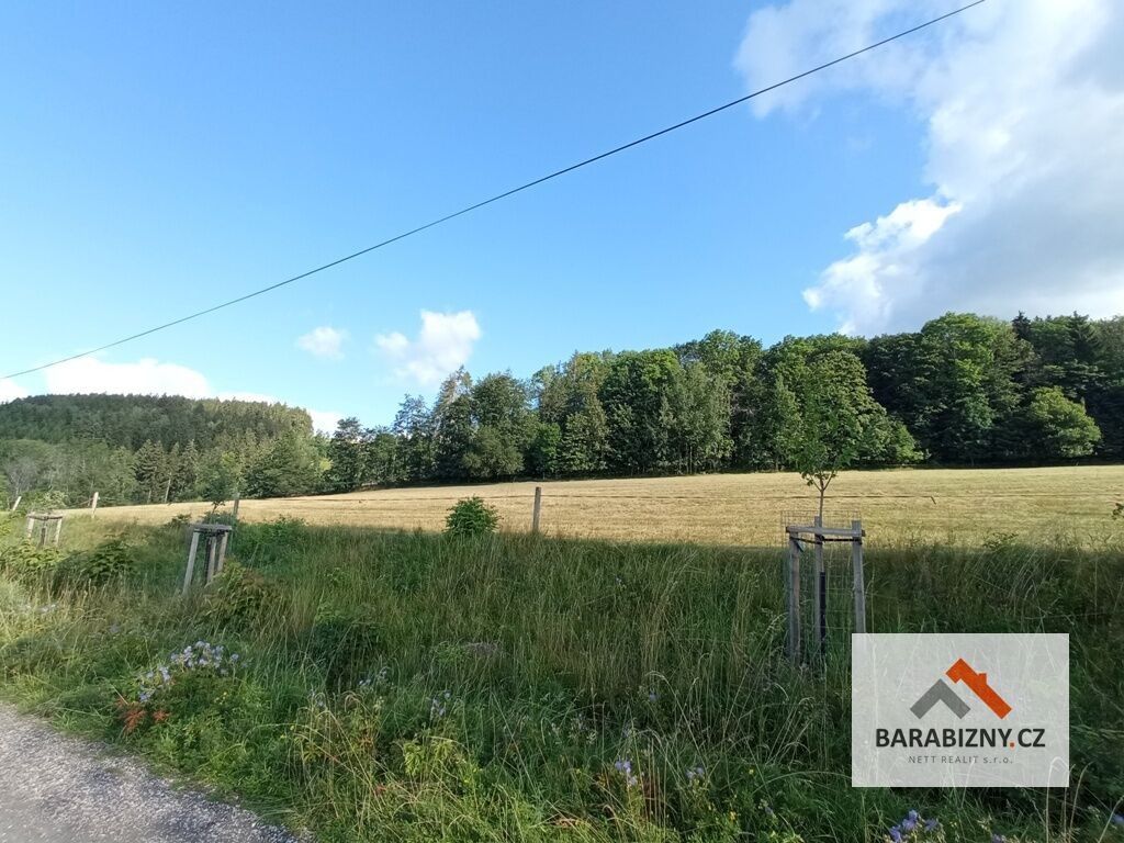 Prodej louka - Vrchlabí, 50 034 m² - 5