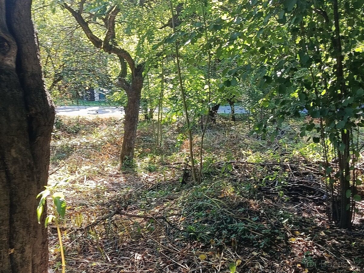 Prodej pozemek pro bydlení - Rychnov nad Kněžnou, 516 01 - 5
