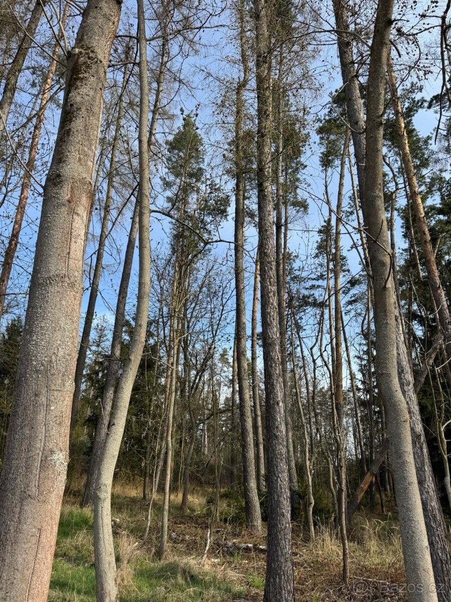 Pozemky pro bydlení, Louňovice pod Blaníkem, 257 06