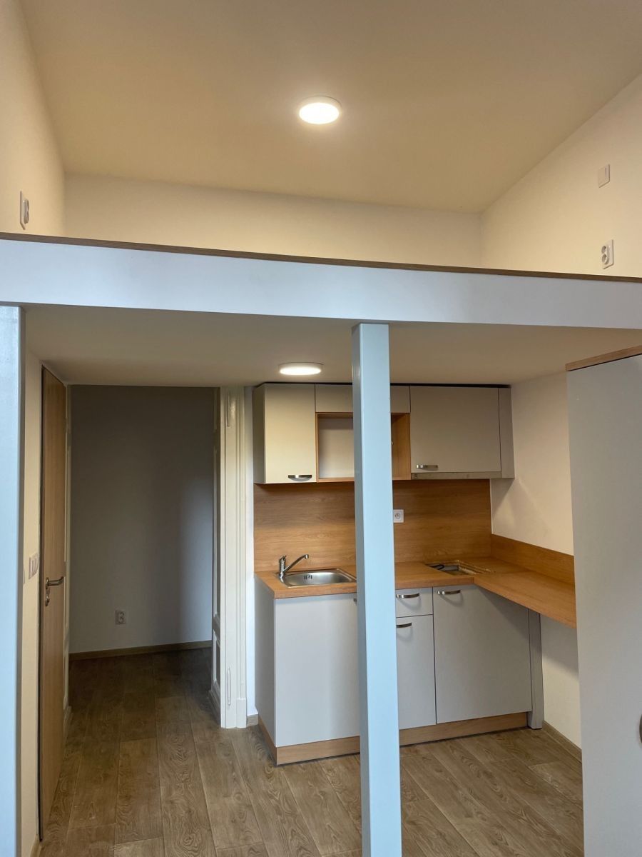 1+kk, Křenová, Brno - Trnitá, Jihomoravský kraj, 26 m² - 1