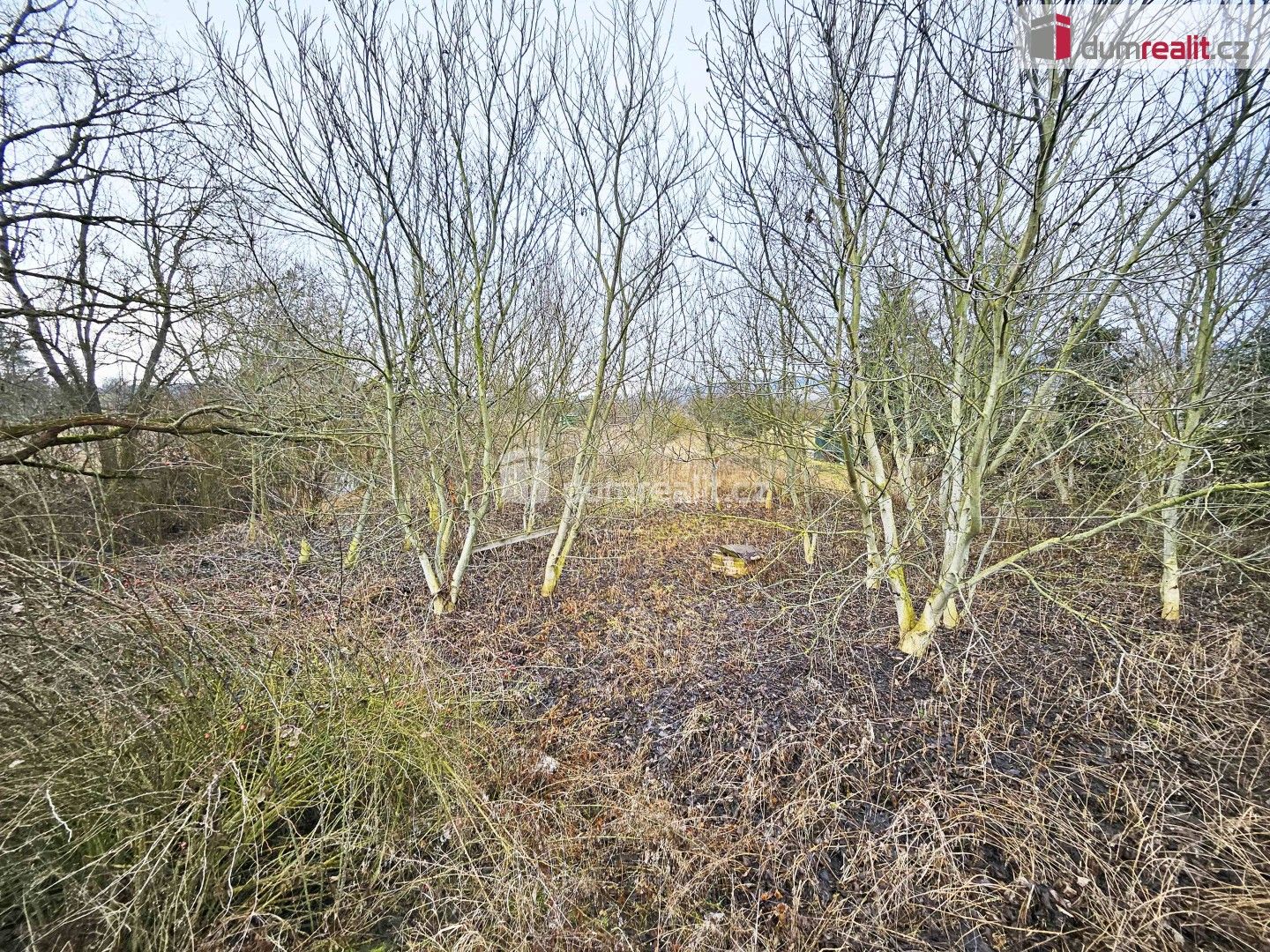 Prodej zemědělský pozemek - Sulejovice, 1 549 m²