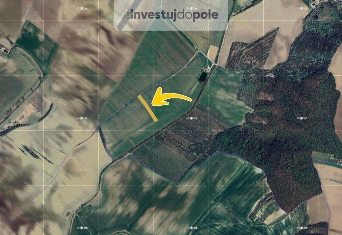 Prodej pozemek - Nechvalín, 4 582 m²