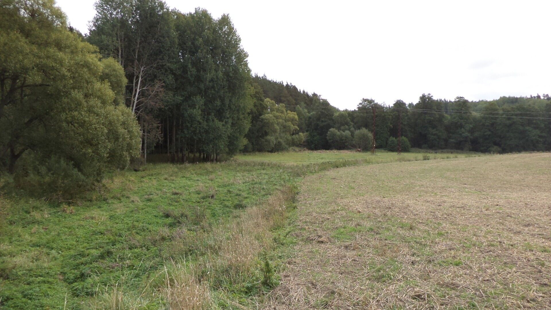 Zemědělské pozemky, Tachov, 58 887 m² - 1