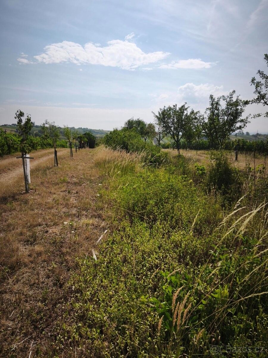 Pozemky pro bydlení, Mutěnice, 696 11 - 2