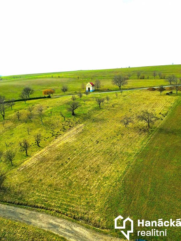 Zahrada · Bořenovice - 3