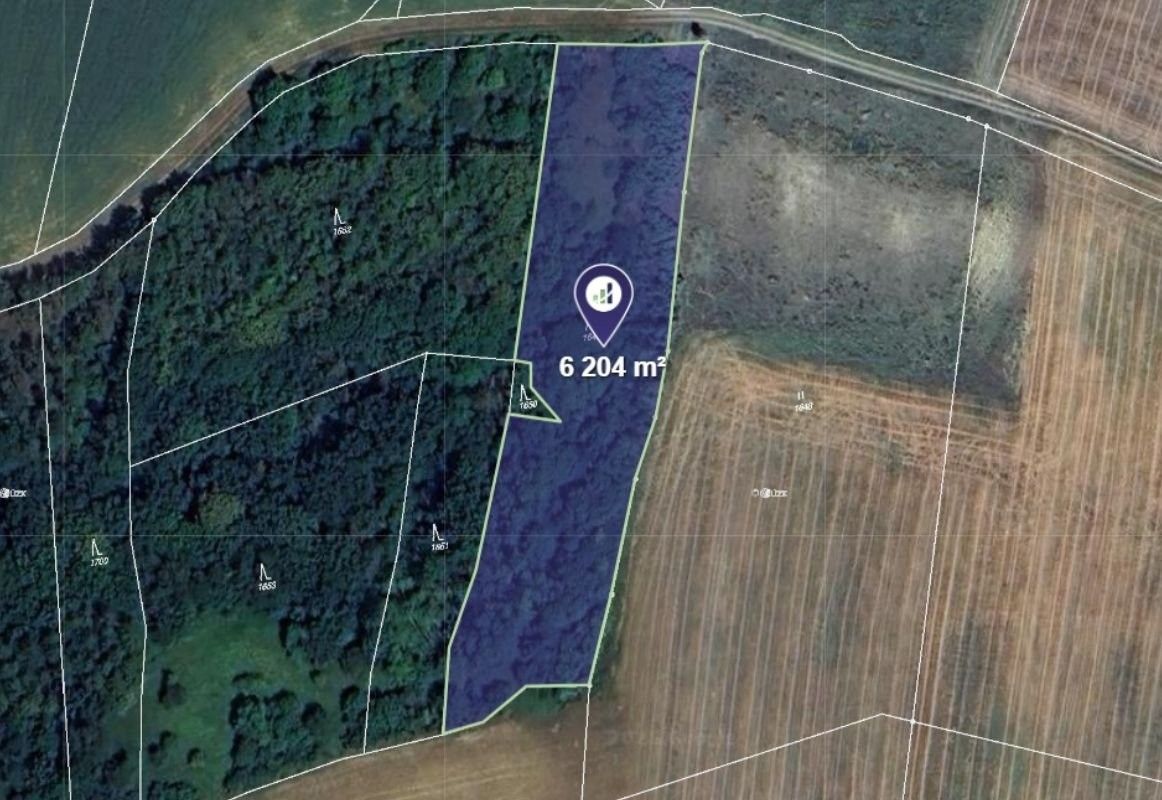 Les, 6 204 m²