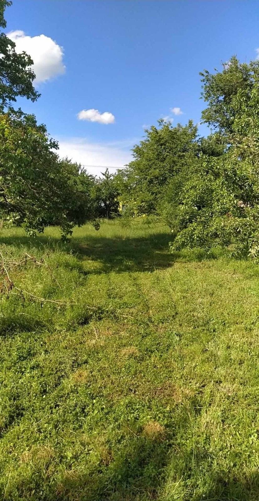 Pozemky pro bydlení, Šanov, 659 m²