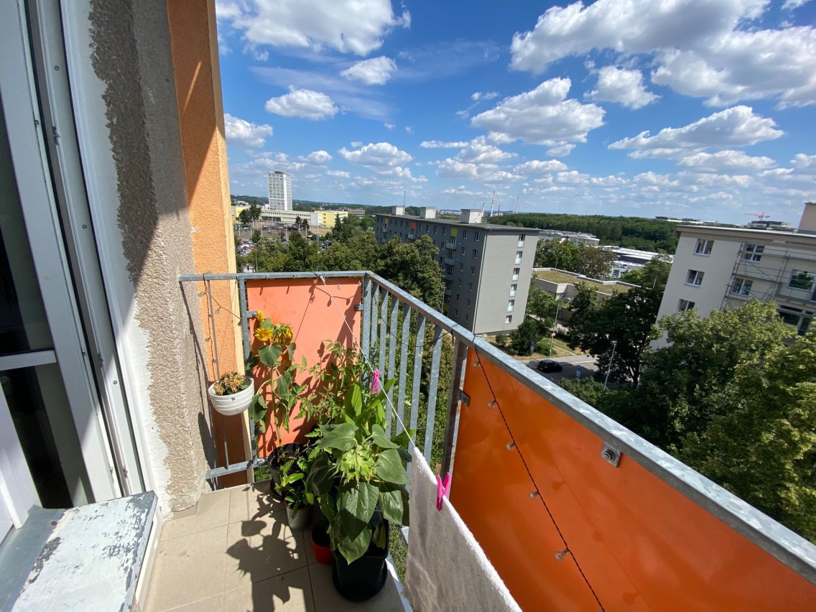3+1, Pod Lipami, Praha - Žižkov, 70 m² - 2