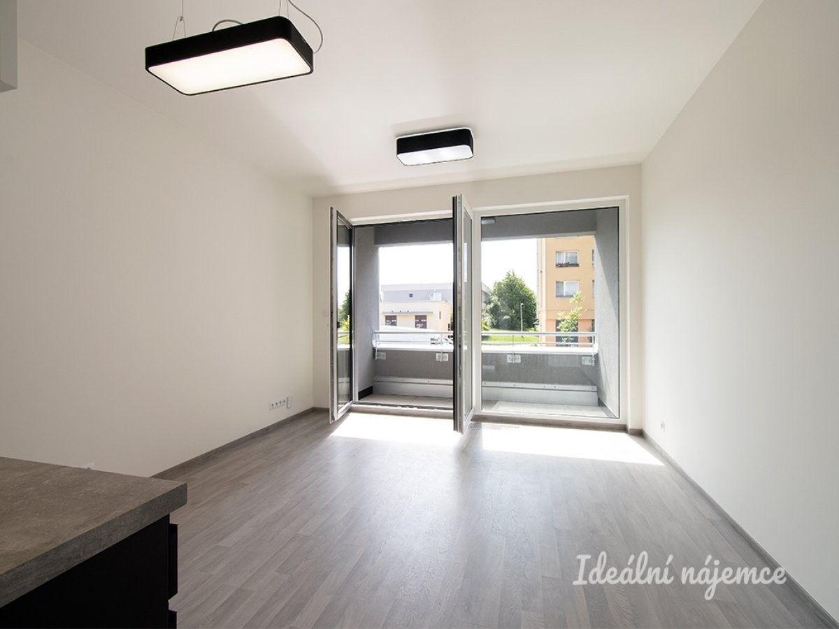 Byt 1+kk · 30 m² · Na domovině, Praha - 3