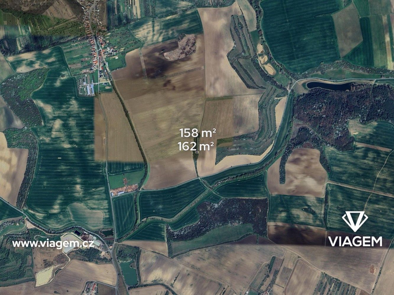 Les · Syrovín, okres Hodonín, Jihomoravský kraj - 3
