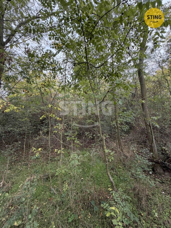 Pozemek · 10 074 m² · Kleneč - 3