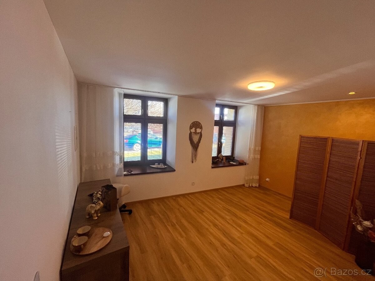 Pronájem obchodní prostory - Prostějov, 796 04 - 1
