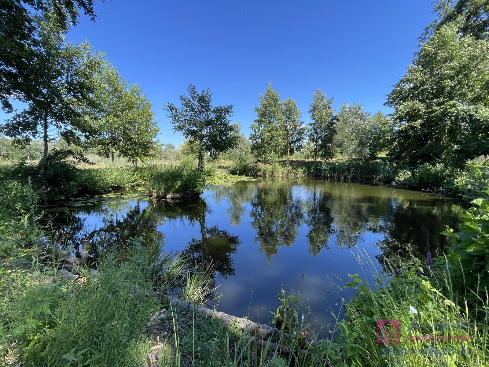 Pozemky pro bydlení, Poštorná, Břeclav, 4 463 m²
