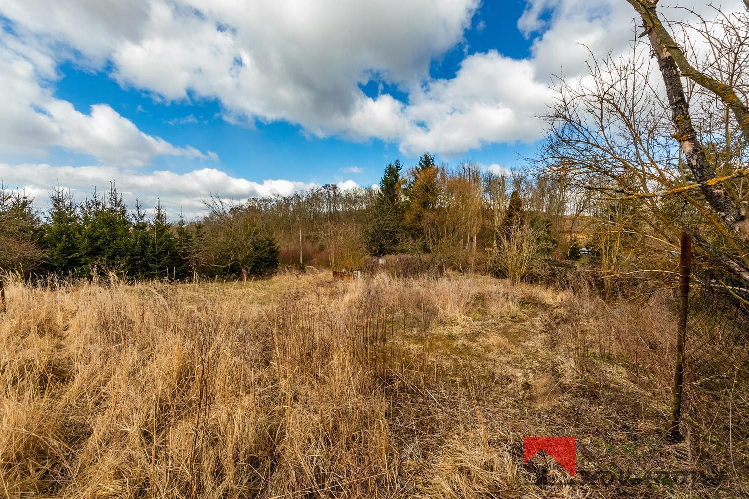 Prodej pozemek pro bydlení - Živonín, Řepín