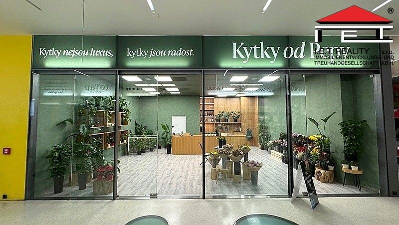 Pronájem obchodní prostory - náměstí Svobody, Brno, 64 m²