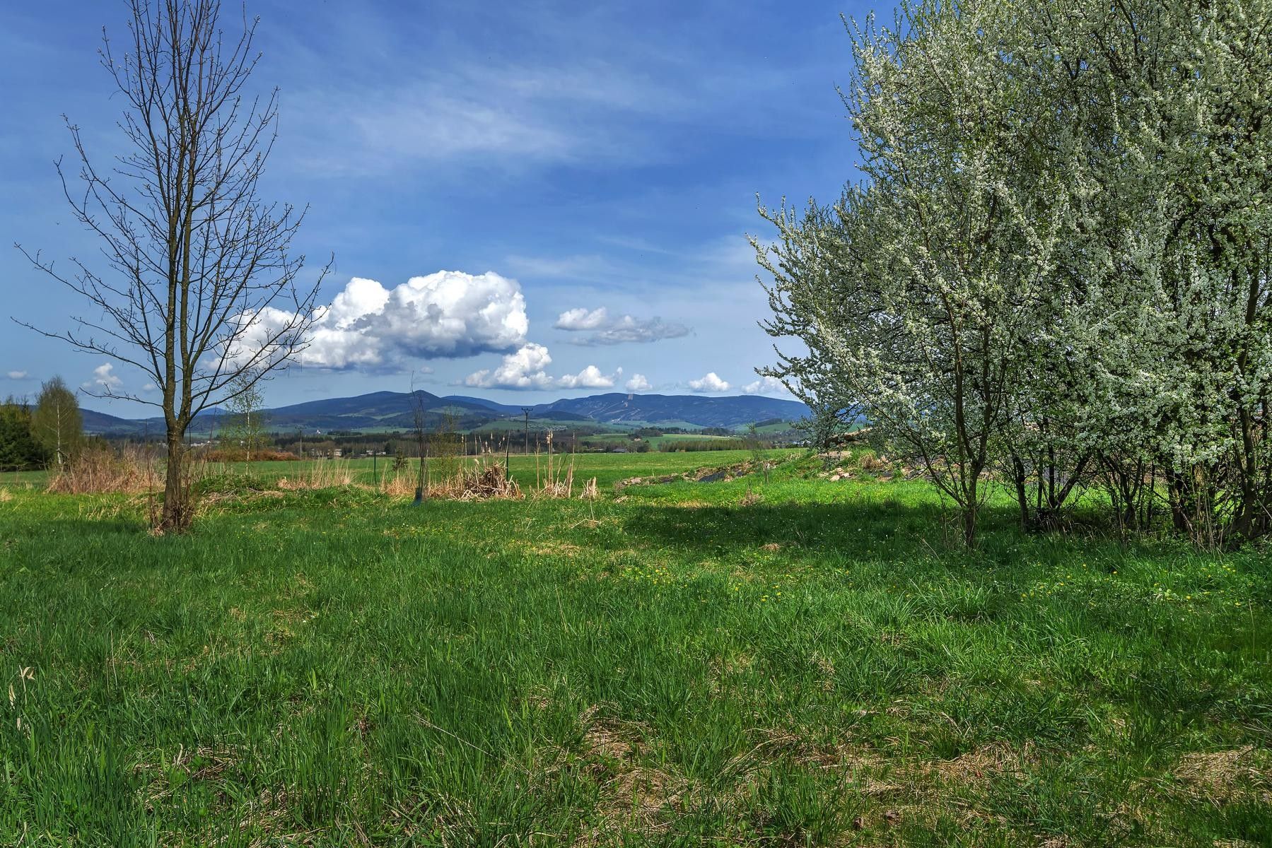 Prodej chalupa - Dolní Boříkovice, Králíky, 254 m²