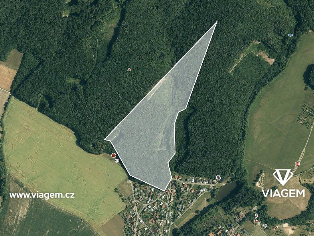 Les · Fryšták, okres Zlín, Zlínský kraj - 3