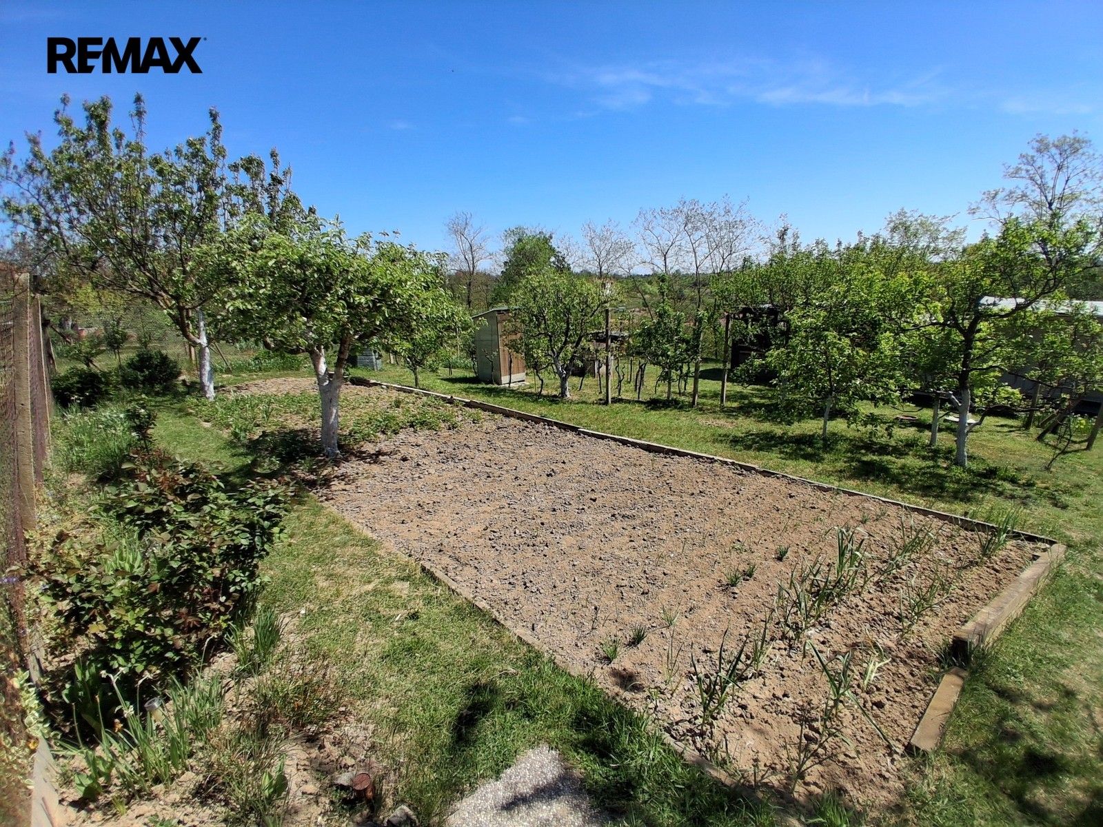 Zahrada · 579 m² · Dyje - 3