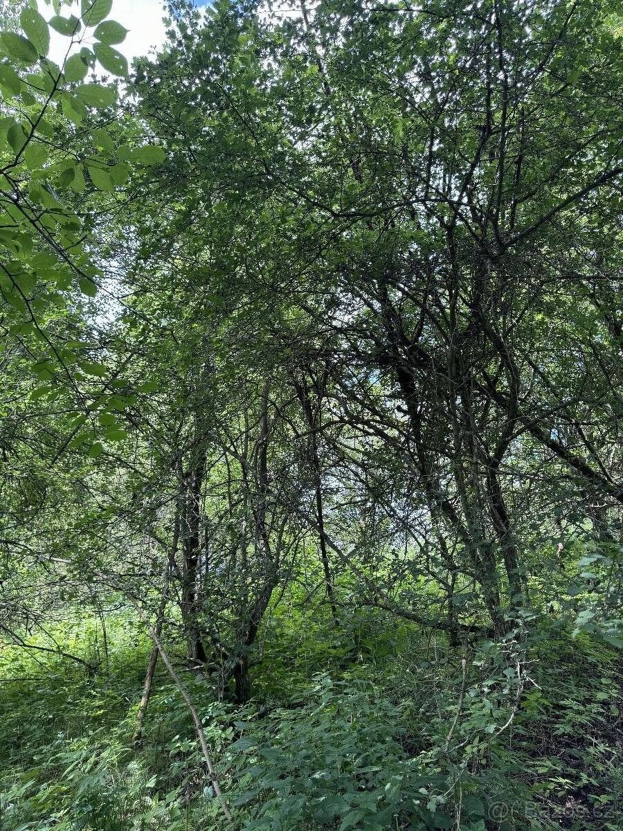 Prodej pozemek pro bydlení - Suchdol u Prostějova, 798 45