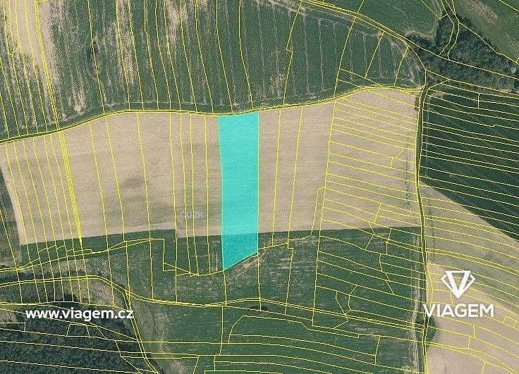 Zemědělský pozemek · Třebějice, okres Tábor, Jihočeský kraj - 3