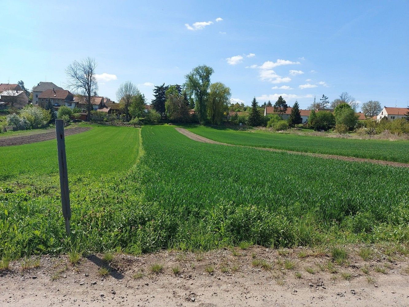 Prodej pozemek pro bydlení - Panenský Týnec, okres Louny, Ústecký kraj - 5