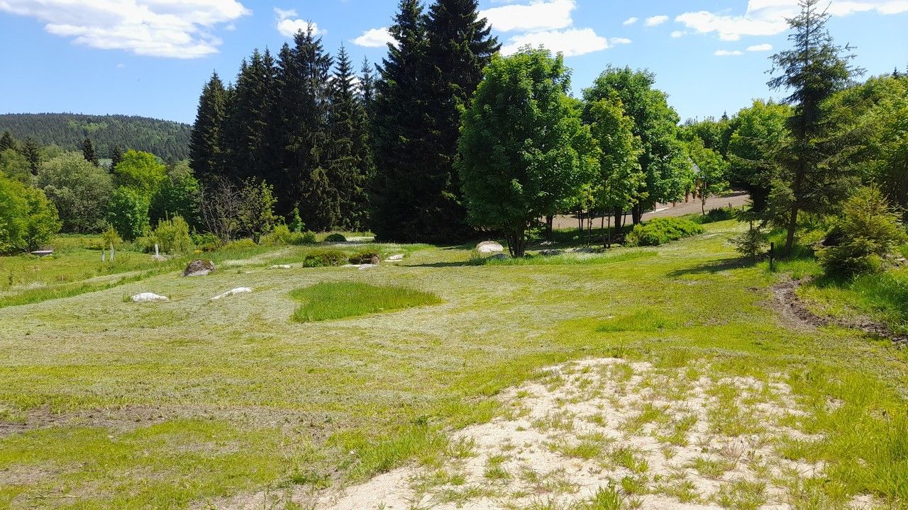 Prodej pozemek pro bydlení - Bedřichov, 2 313 m² - 5